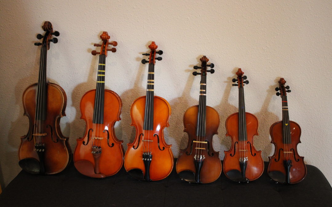 A row of violins of different sizes. Your child can play an instrument starting at age three.
