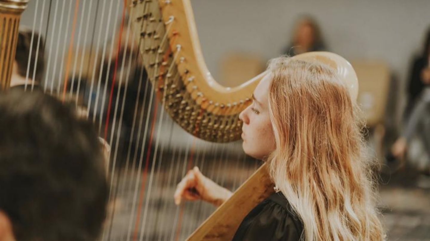 Girl playing the harp