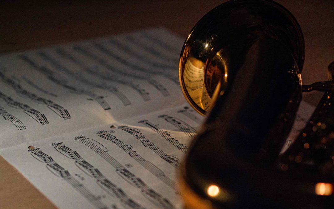 5 Reasons for Professional Musicians to Keep Taking Music Lessons